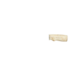 BONE