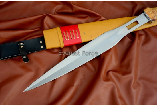 Boa-African sword