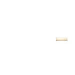BONE