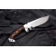 Highlander Bowie