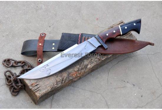 Dragon’s Edge Bowie 