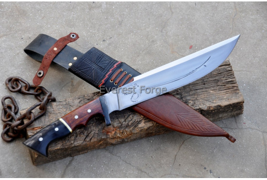 Dragon’s Edge Bowie 