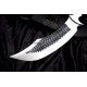 Hawk’s Fury Eagle Bowie 
