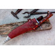 Amazon Recurve Bowie 