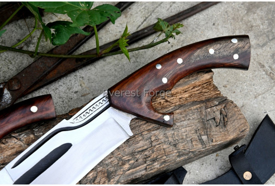 Ranger Elite Bowie