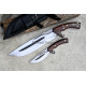 Ranger Elite Bowie