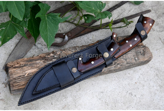 Ranger Elite Bowie