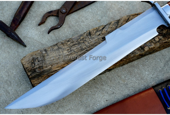 Predator D-Guard Bowie 