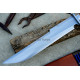 Predator D-Guard Bowie 