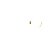 BRASS