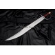 Dragon Tooth Sword