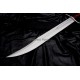 Dragon Tooth Sword