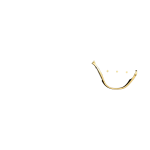 BRASS