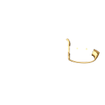 BRASS