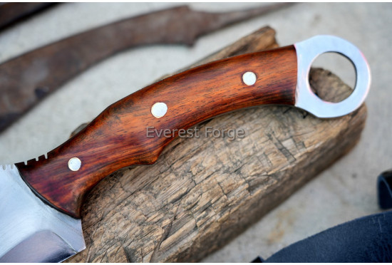 Karambit Predator Dagger