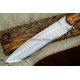 Claw Reaver Dagger 