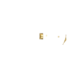 BRASS