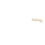 BONE