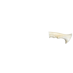BONE
