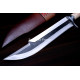 Hand-Forged Fantasy Bowie Knife, Horn and Bone Handle