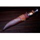 Hand-Forged Fantasy Bowie Knife, Horn and Bone Handle