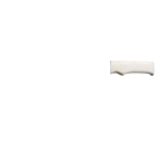 BONE