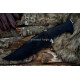 Hunter’s Bowie Knife