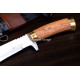 Hand-Forged Bush Machete, Brass-Fitted Hilt