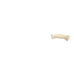 BONE