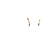BRASS