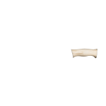 BONE