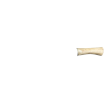 BONE