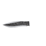 RAW