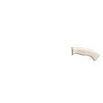 BONE