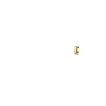 BRASS