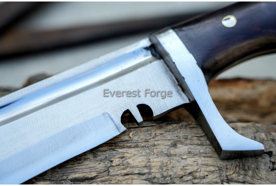 Maciejowski Falchion
