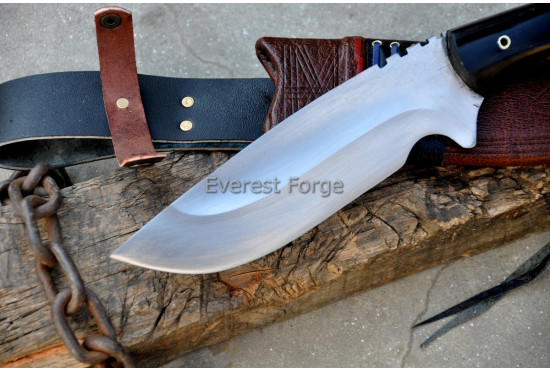Nomad Talon Knife