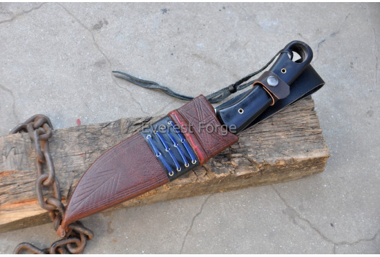 Nomad Talon Knife