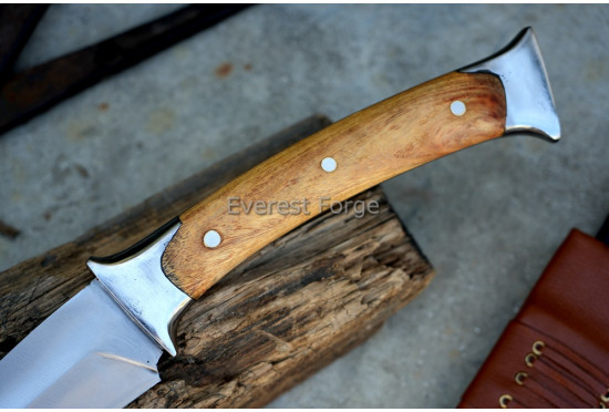 Massive Claw  Knife