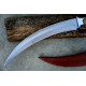 Massive Claw  Knife