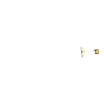 BRASS