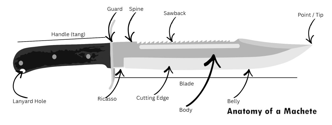 Anatomy of a Machete: A Simple Guide to Every Part of a Machete