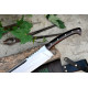 Sawback Tracker Machete