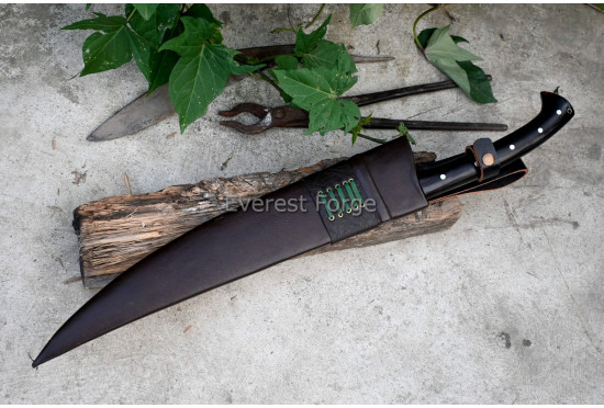 Sawback Tracker Machete