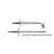 Short Sword vs Longsword: Which Should You Buy?