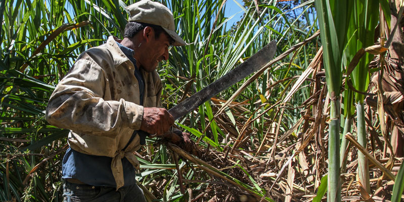 Farming Machete - Everest Forge