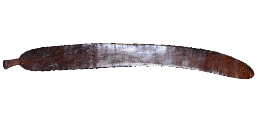 Rainforest wooden swords of North Queensland used by Indigenous Australians