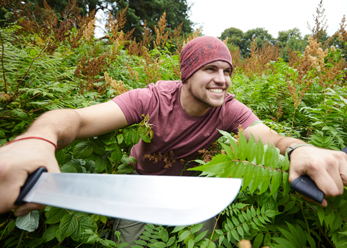 Machete clearing dense bush and vegetation outdoors