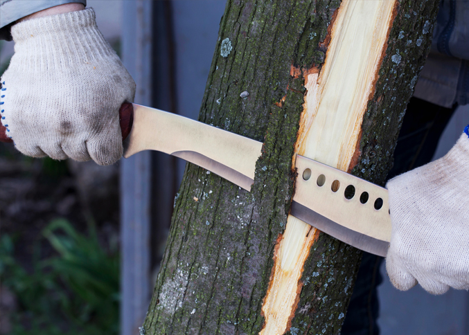 Machete slicing brush for trail clearing and outdoor use