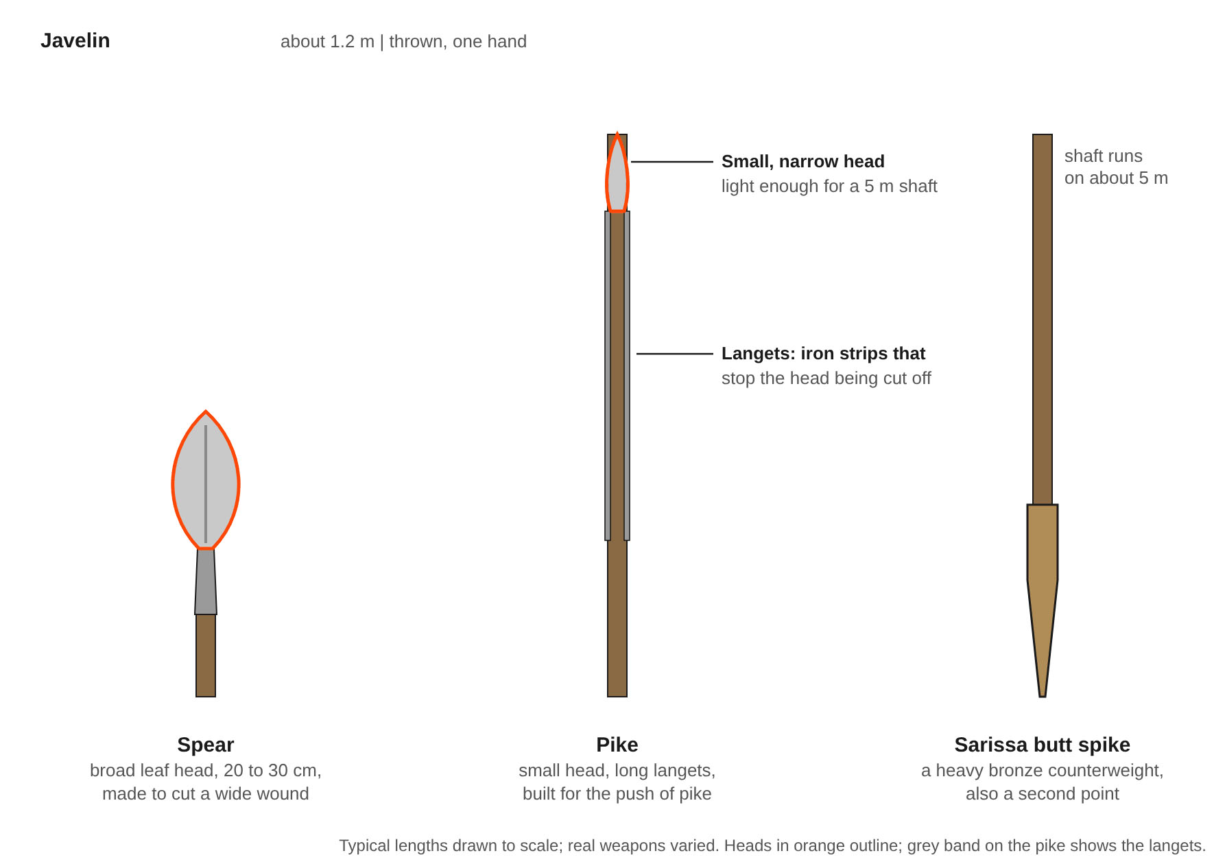 Spear and pike heads compared: the broad leaf head of a spear, the small narrow pike head with long langets protecting the shaft, and the sarissa head with its heavy butt spike